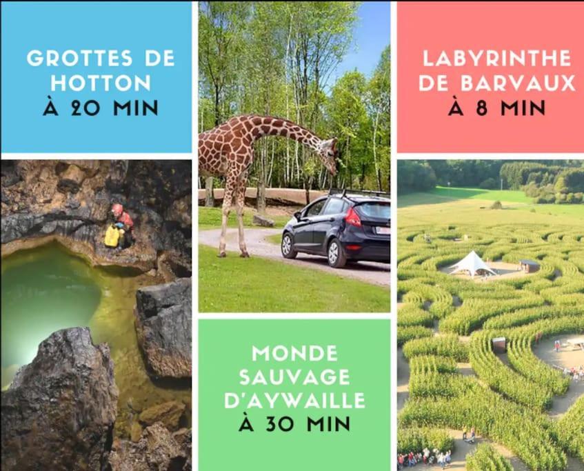 Appartement Durbuy Avec Piscine Et Activites Eksteriør billede
